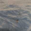 Ekouaer Robe for Women Velour Zipper Robe 3/4 Sleeves Housecoat Full Length Loungewear Long Bathrobe with Pockets. Size 3XL.