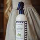 2 x Noodle & Boo Moisturizing Conditioning Hair Polish Detangler for Newborn and Baby
