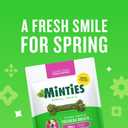 Minties Dog Dental Bone Treats, Tiny/Small Dental Dog Treats, 16 Ounces, Cleans Teeth, Fight Bad Breath, Removes Plaque and Tartar, 40 Count (EXP 03/10/28)
