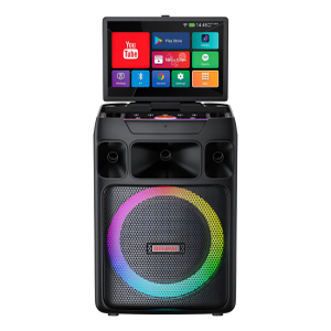 Portable Karaoke Machine with 14 Inch Touch Screen & Lyrics Display, Professional Bass Sound for Home Parties, Outdoor Events, Karaoke Nights - Perfect for Adults, Kids, Singers & Music Lovers