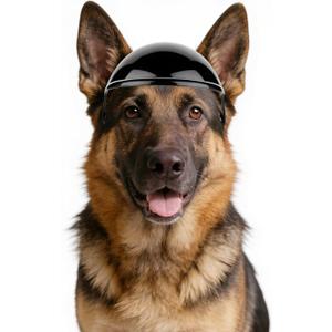 Namsan Large Dog Helmet, Dog Helmets for Large Dogs, Doggie Motorcycle Helmets with Ear Holes, Outdoor Doggy Bike Helmet for Head Protection, Adjustable, Black L