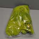 Dr. Seuss GRINCH Who Stole Christmas Hooded Pajama Union Suit (8, Green)