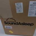 SoundAsleep Dream Series Raised Queen Air Mattress, Built-in Pump, Black