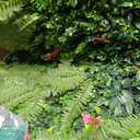 Artificial Grass Wall Backdrop Panels: 20X20 in 12P UV-Anti Greenery Boxwood Panels for Indoor Outdoor Green Plant Wall Decor & Ivy Fence Covering Privacy