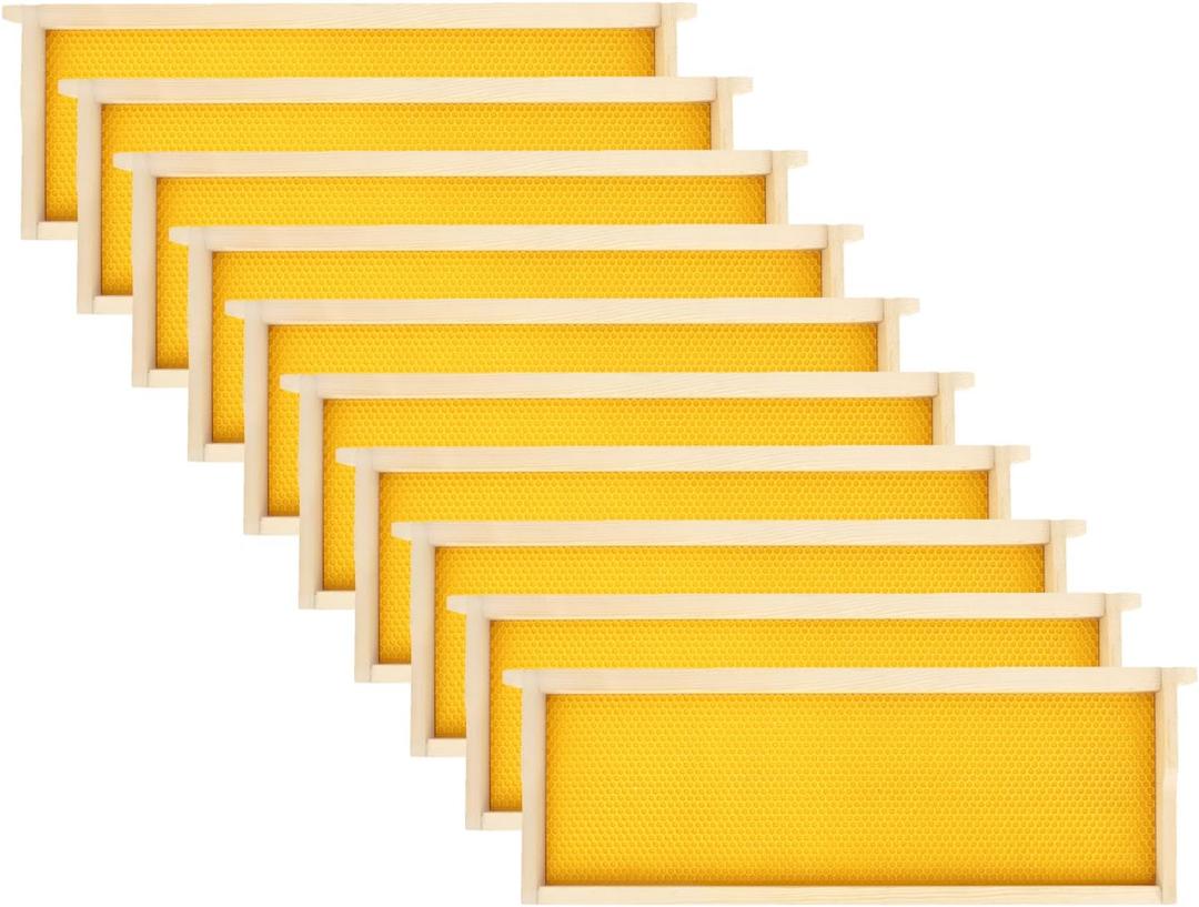 Medium Beehive Frames and Wax Foundations, 10 Pack Honey Bee Frames with Wooden Bee Hive Frames and 100% Beeswax Coated Foundations, 6-1/4-Inch (Yellow)