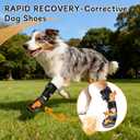 No Knuckling Brace for Dogs - Drop Foot Support with Adjustable Reel, Corrective Outdoor Pet Shoes - Helps Lift Toes for Nerve Conditions, Arthritis & Mobility Issues (S)