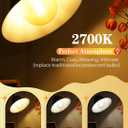 10W Dimmable Large LED Globe Bulb 80W Equivalent 800 Lumens, 2700K Warm White E26 Medium Base, Vintage Edison Style G125 Oversize Amber Globe Glass, G40 Replacement LED Filament Light Bulb