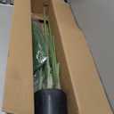 Lifelike Bird of Paradise Artificial Plant,6ft Faux Banana Leaf Tree with 13 Trunks - Perfect Indoor Silk Floor Plant for Home Decor in Living Room, Office, and Bedroom 1Pack