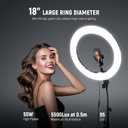NEEWER 18 Inch Ring Light with Tripod Stand, 55W Large LED Ringlight, Cold Shoe Phone Holder Compatible with iPhone Camera for Video Recording Photography Streaming Selfie Makeup Studio Photo, RL-18