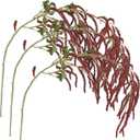Shirfloral 3 Pcs Amaranthus Artificial Flower Faux Burgundy Wisteria Branches Fake Hanging Flowers Wedding Flower Arrangement Photo Props for Party Decoration