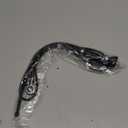 NC 16.9 Inch Car FM AM Radio Antenna, Flexible Mast Radio FMAM Antenna Universal Car Stereo Auto Roof Fender Radio AM FM Wing Mount Signal Aerial Antenna with Antenna Extension Cable