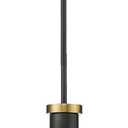 zeyu H Type Track Lighting Pendant, Farmhouse 1-Light Black Ceiling Track Hanging Light Fixturs for Dining Room Bedroom, Clear Glass Shade, Black and Gold Finish, ZG33TP BK+BG