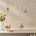 FOCHIER F 5 Pcs Pressed Flower Frames with Tweezers, Wall Hanging Tabletop Display Double Glass Frames with Metal Chain for Pressed Dried Flowers Plants, Horizontal and Vertical Picture Frame, Golden