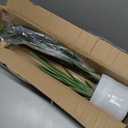 Artificial Bird of Paradise Plant Fake Tropical Palm Tree for Indoor Outdoor, Perfect Faux Plants for Home Garden Office Store Decoration (Bird of Paradise 120cm)