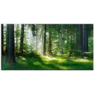 Morning Sunlight Forest Large Stretched Canvas Wall Art for Living Room Bedroom Home,Mordern Woods Scenery Picture Print Painting Decor Artwork,Green Landscape Gallery Wrapped Gift,Inner Frame(24x48) (Green Nature Tree & Grassland (D211))