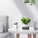 DOITOOL Ceramic Hydroponic Planter Pot with Stable Base 6.3 Inch Blue and White Porcelain Flower Pot Indoor Outdoor Lotus Bowl for Water Plants Garden Decor