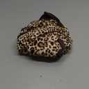 Kuoser Dog Surgery Suit, Comfy Dog Recovery Suit Female Doggie Onesie for Surgery, Post-Op Onesie for Female & Male Dogs, Soft Protective Wear, BrownLeopard XL (XL (Back:20.1-24.8'', Weight:42-75 LB))