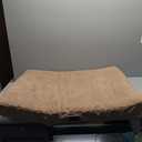 Bedsure Large Dog Bed for Large Dogs - Big Orthopedic Waterproof Dog Beds with Removable Washable Cover, Egg Crate Foam Pet Bed Mat, Suitable for Dogs Up to 75 lbs, Light Brown