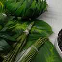 Der Rose 28'' Artificial Palm Tree Tall Fake Tropical Faux Trees Indoor and Outdoor for Home Bathroom Porch Outside Patio Decor (White Pot)