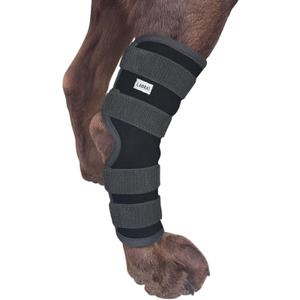 Labra Dog Extra Supportive Canine Rear (Hind) Leg Hock Joint Compression Wrap for Recovery, Protection, and Sprain and Injury Prevention, Ankle Brace (Large)