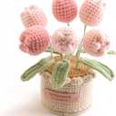 Hand Crocheted Tulip Potted Plants, Home Central Decorative Tables, Shelves, and Creative DIY for Christmas, Thanksgiving, Birthdays and Housewarming (Pink)