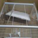 20.5 inch Small Bird Cage, Parrot Cage, Portable Bird Carrier, Travel Carrier Cage for Home, Outing, Pet Clinic, Temporary Placement, for Small Medium Birds(White)