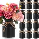 Domensi 12 Pcs Farmhouse Metal Flower Vase Wedding Decor Bulk Rustic Galvanized Milk Can Jug Vase with Bow Flower Bucket for Table Centerpiece Valentine Home (5.12 Inch,Black)