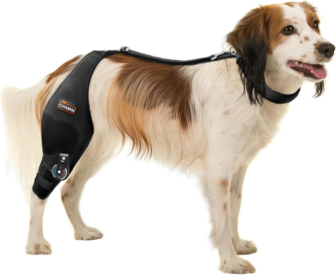 CHAMIN Adjustable Dog Knee Brace for Torn ACL Hind Leg, Support for Tear Ligament, Osteoarthritis, Rear Leg Limp, Recovery After Surgery,et (Right Leg,M)