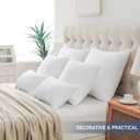 Leeden 22x22 Pillow Inserts, 22 Inch Decorative Throw Pillow Inserts, Soft Fluffy Square Throw Pillows for Couch, Sofa, Bed, and Home Decor White Cushion Pack of 2