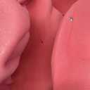 FUNSTITUTION Giant Foam Cowboy Hat - Oversized Huge Cowboy Hat - Silly, Crazy and Funny Pink Hats for Adults and Kids
