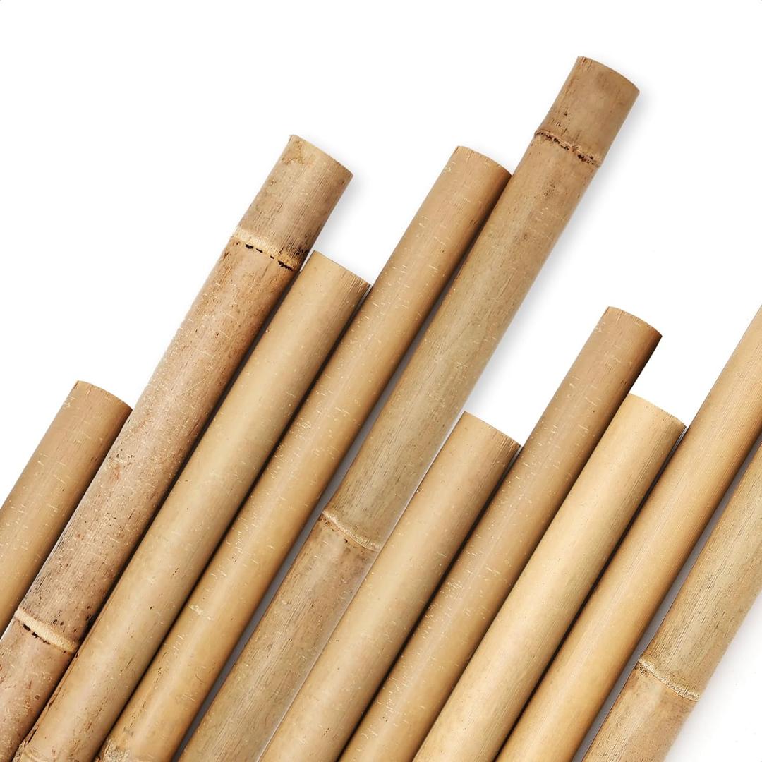 Cambaverd Bamboo Stakes 8 Feet, Diameter of 1 Inch Thicker Garden Stakes, Natural Plant Stakes for Tomatoes, Cucumbers, Grape Vine Climbing Plants Support and Natural Decoration - 10 Pack Bamboo Poles
