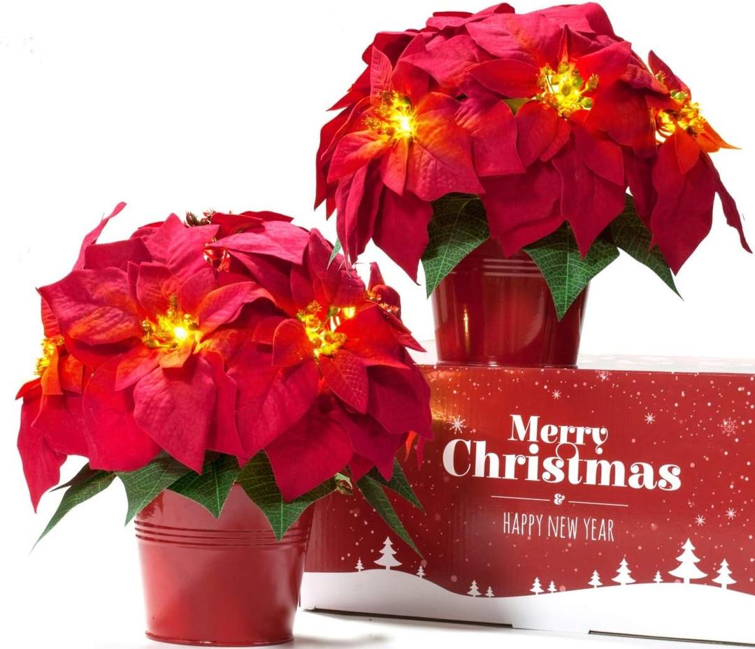 2 Pack Christmas Decorations Pre-Lit Artificial Poinsettia Plant - LED Lighted Faux Poinsettia Flowers(Red,10inch) 2 Pack Christmas Decorations Pre-Lit Artificial Poinsettia Plant - LED Lighted Faux Poinsettia Flowers(Red,10inch)