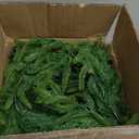 Norfolk Pine Wreath 1 PCS Christmas Norfolk Pine Garland Real Touch Artificial Greenery Wreath Bulk for Holiday Fireplace Table for Home Decor