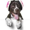 Noise Cancelling Headphones with Dog Paw Design, Calming Earmuffs for Thunder, Fireworks & Hunting (M, White)