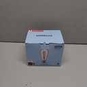 Vintage LED Edison Bulbs, 6W, Equivalent 60W, High Brightness Daylight 5000K, ST58 Antique LED Filament Bulbs with 90+ CRI, E26 Medium Base, Dimmable, Clear Glass, Pack of 6