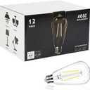 12 Pack LED Edison Bulbs 40 Watts Equivalent, 4 Watt LED Vintage Light Bulb, 5000K Daylight ST19 Light Bulb, 400LM E26 Base for Light Fixtures, Not Dimmable (12, 5000k-not Dimmable)