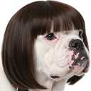 Funny Dog Wig for Small Medium Large Dogs with Adjustable Elastic Bands, Trimmable Pet Costume Cat Cosplay Decoration for Halloween, Christmas, Parties (One Size)