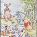 Northwest Winnie The Pooh Micro Raschel Throw Blanket, 46" x 60", Friend Picnic