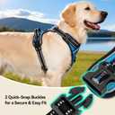 PHOEPET No Pull Dog Harnesses for Small Puppies Reflective Adjustable Front Clip Vest with 2 Metal Leash Attachment Hooks Soft Handle(XS, Blue)