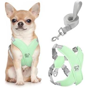 Pawaboo Small Dog Harness and Leash Set, Puppy Harness X-Frame No Pull No Choke, Dog Vest Harness Adjustable for Small Medium Sized Dogs, Soft Breathable Pet Harness for Walking Outing, S, Mint Green