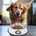 The Memory Company | Licensed NCAA Bling Team Logo Stainless Pet Bowl