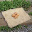 PRECISION PET Chicken Nesting Pads by Petmate 13 x 13 Premium Chicken Bedding Fit Most Nesting Boxes 10 Pack,Beige, Made in USA