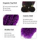 Purple 3 Bundles Human Hair Bundles Jerry Curly Bundles Human Hair Brazilian Virgin Human Hair Extensions Unprocessed Hair Bundles for Women 26 28 30 Inch 300g