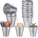 Sadnyy 12 Pcs 3.5in Small Metal Buckets with Handle, Mini Metal Pail Tin Galvanized Pail Container for Trick or Treat Flower Plant Craft Halloween Party Favors Garden Home Decoration (Silver)