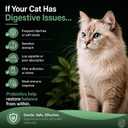 Cat Probiotic Powder for Digestive Balance & Gut Health Daily Pet Supplement with Pumpkin, Papaya & 6 Probiotic Strains Supports Gut Flora & Digestive Comfort 120 Scoops