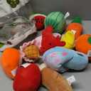 Nocciola Dog Squeaky Toys, Plush Small Dog Toys for Dogs, Stuffed with Squeakers, 12 pcs Puppy Toys with a Carrying Bag for Small Medium Size