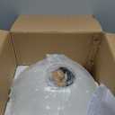 Spherical LED Clear Glass Hanging Light, Creative Single Pendant Light, Ceiling Light Base on E27 Gold Lamp Holder (25CM)