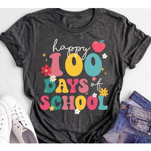 100 Days To School T-Shirt, Gray Small