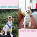 Unique style paws Easter Day Dog Collar with Bow Tie Blue Pink Grid Puppy Collar for Small Medium Large Boys Girls-XS
