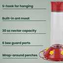 Perky-Pet 209B-1SR Glass Hummingbird Feeders for Outdoors Hanging - 30 fl oz Nectar Capacity - Ant & Bee Guarded Red Bird Feeder